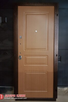 Железная в квартиру с МДФ панелью цвета миланский орех