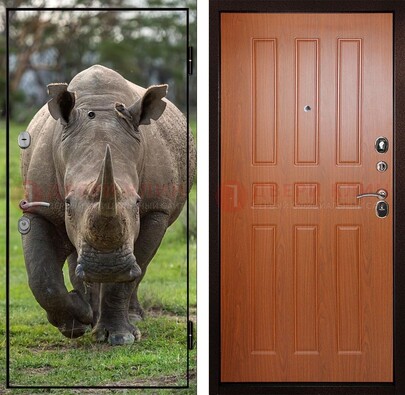 Металлическая дверь с фотопечатью носорога ДФ-31 в Дмитрове