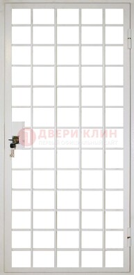 Белая металлическая решетчатая дверь ДР-2 в Хотьково